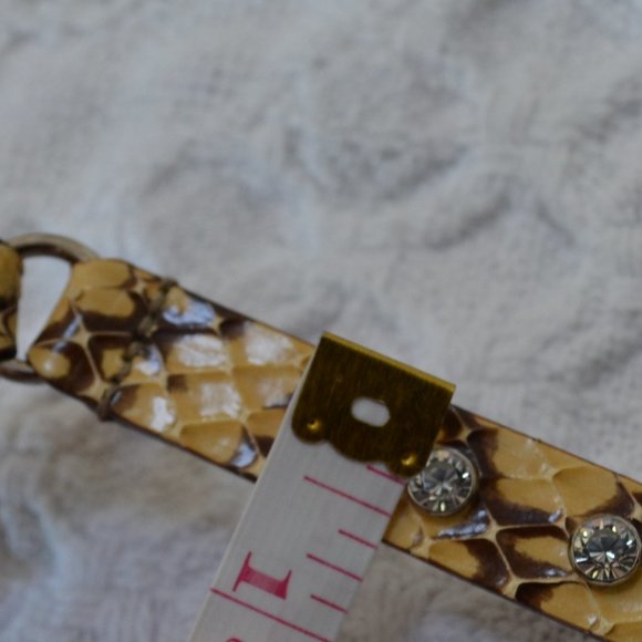 DOLCE & GABBANA Thin Snakeskin Belt With Rhinestones main image 11